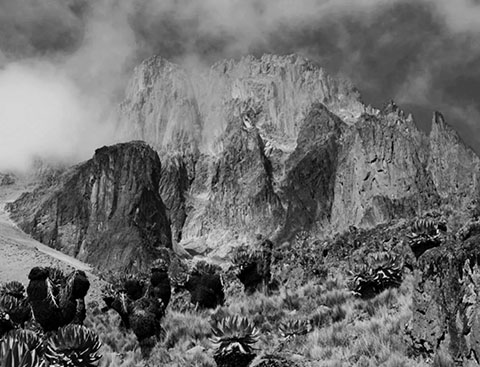 gallery_0000_rocks